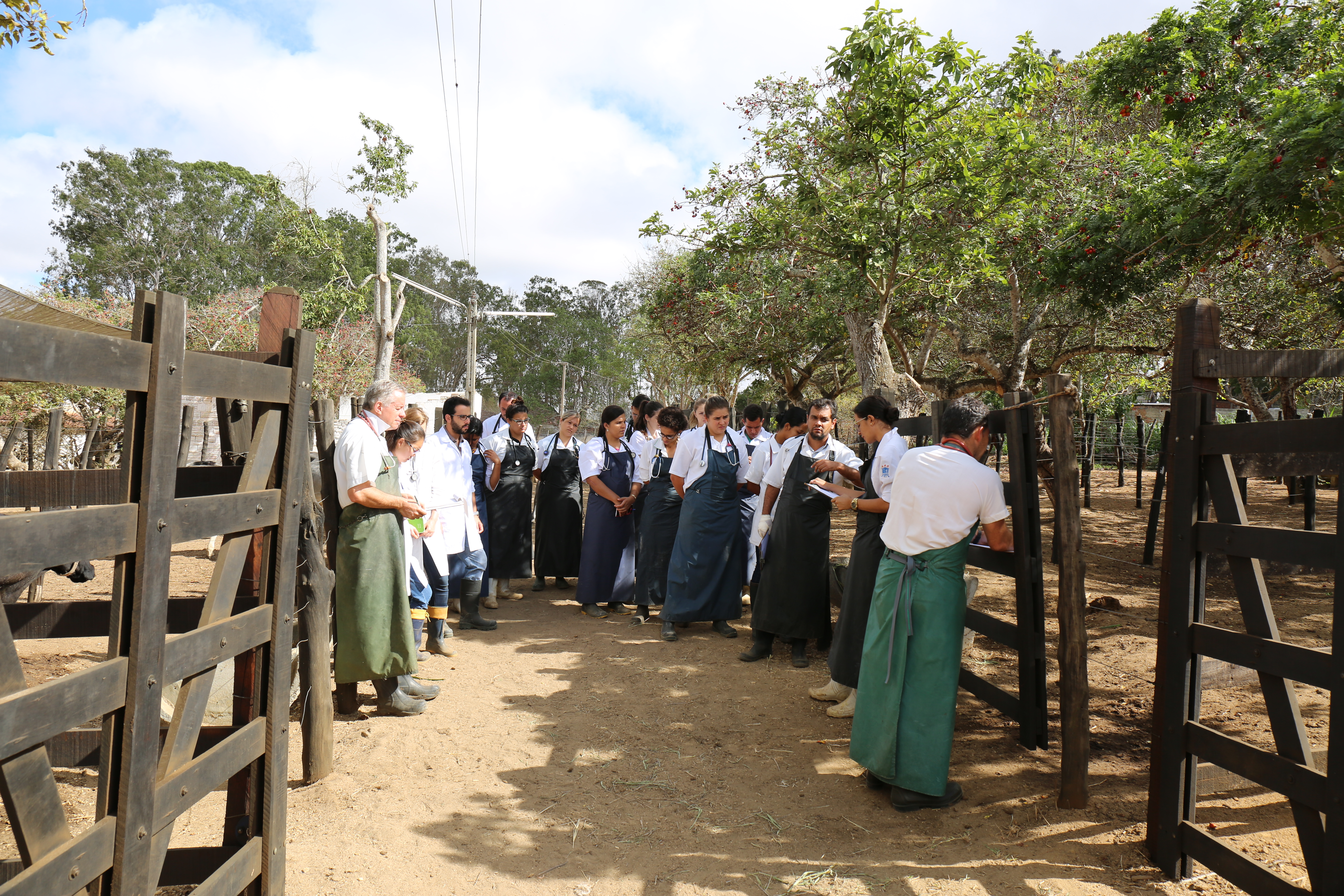 médicos veterinários da clínica de bovinos de garanhuns