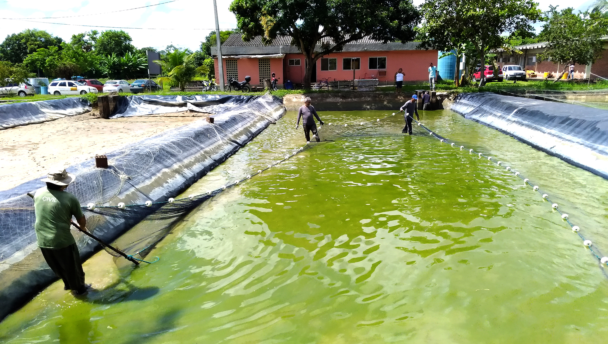 Foto equipe engenharia de pesca ufrpe pescando tilápias