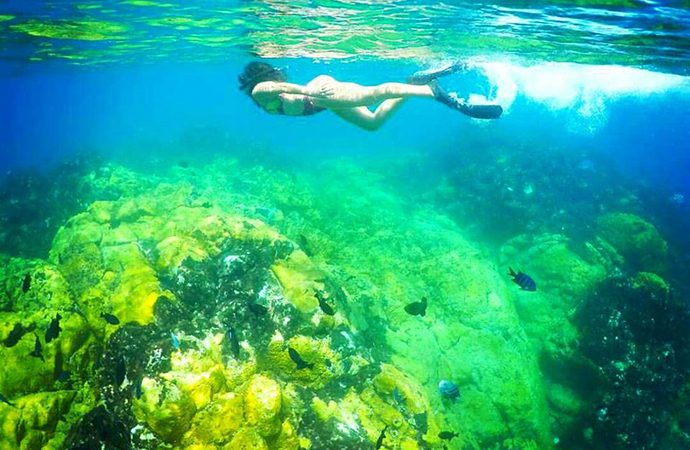 Imagem de mergulhadora em ambientes recifais.