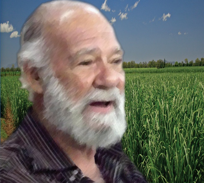 foto de paulo marques