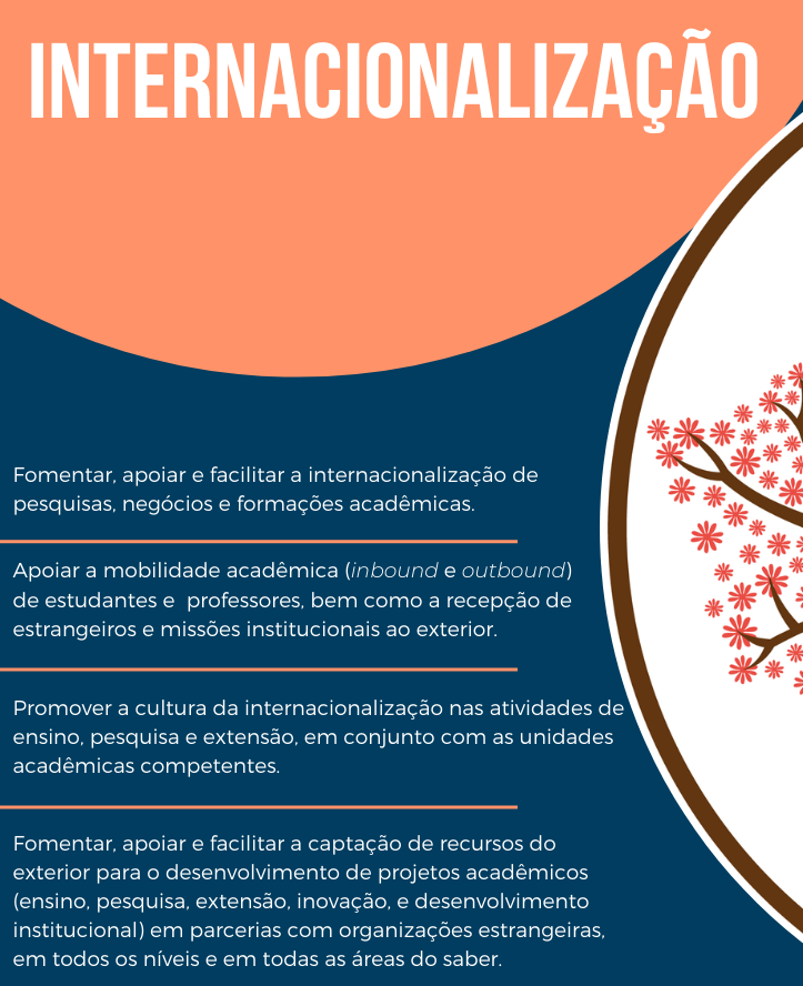 internacionalizaçaõ