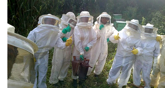 mulheres vestidas de traje de apicultura