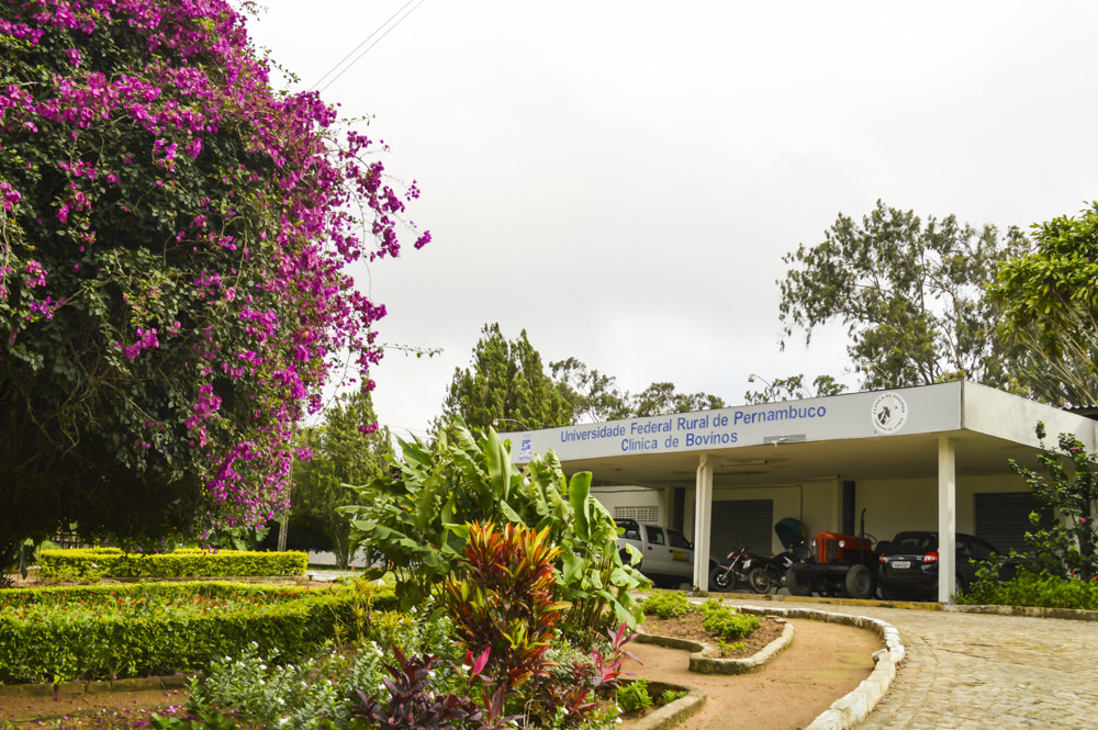 foto da fachada da clínica de bovinos