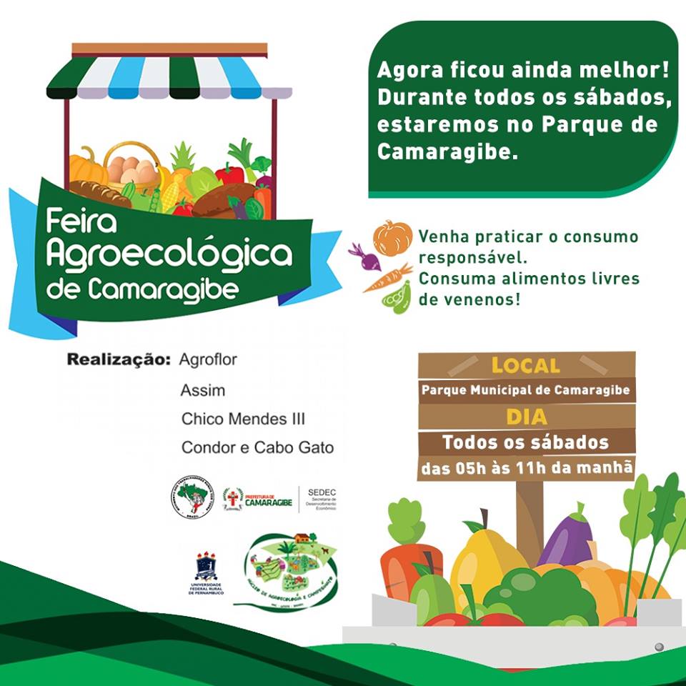 Cartaz lançamento feira camaragibe