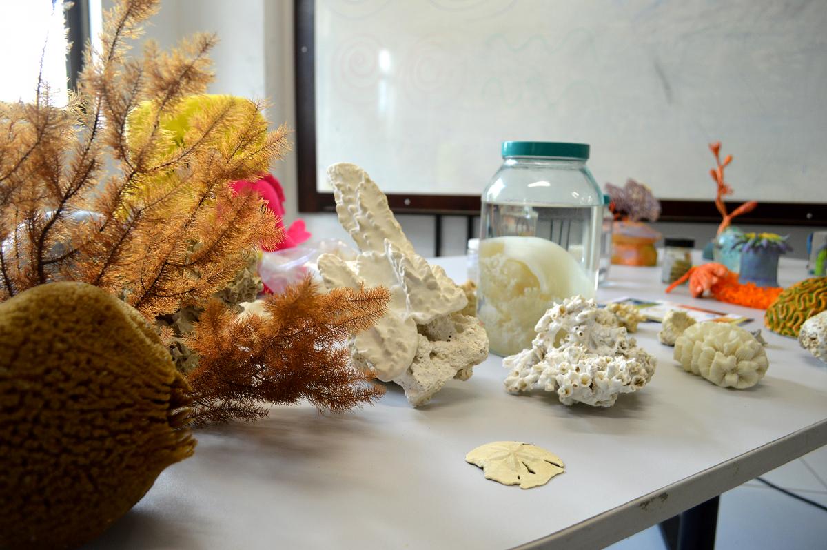 Exposição de zooartesanato.