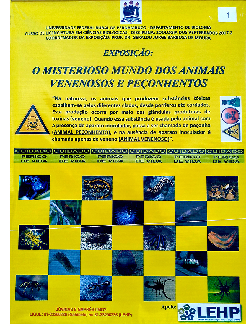 Cartaz da exposição 