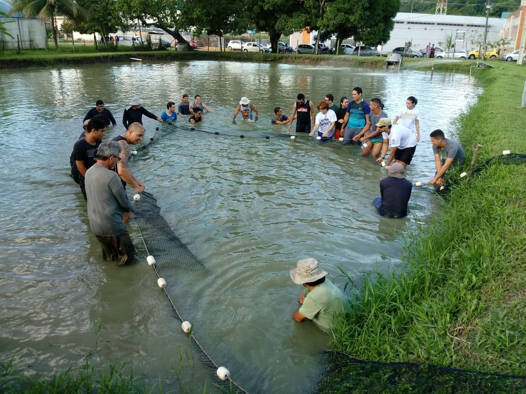 Alunos da Engenharia de pesca pegando peixes na estação de aquicultura