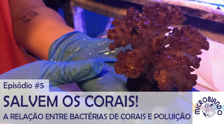 imagem de manipulação de corais