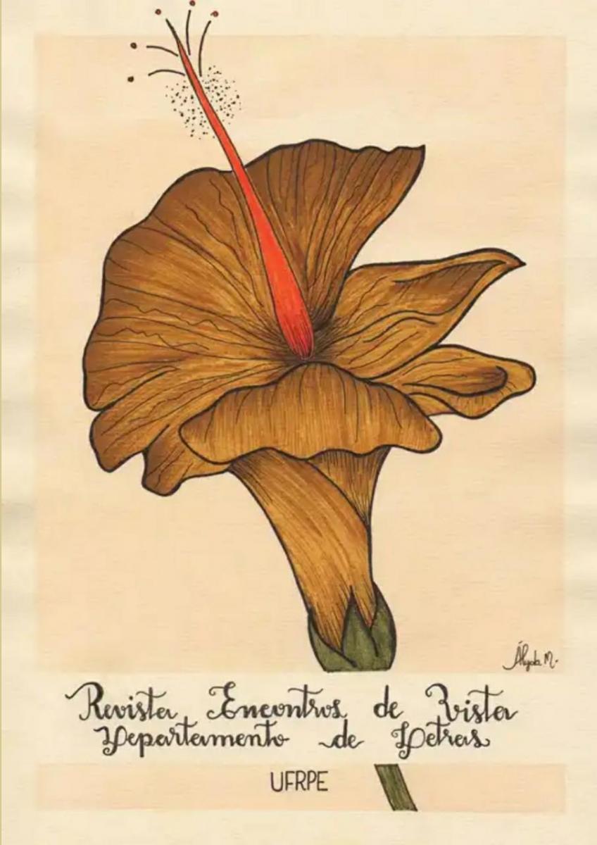 Capa revista Encontros de Vista